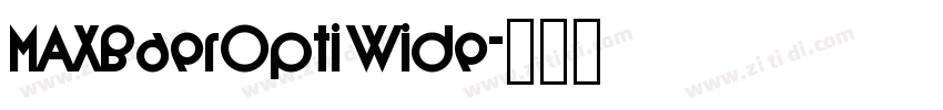 MAXBaerOpti Wide字体转换